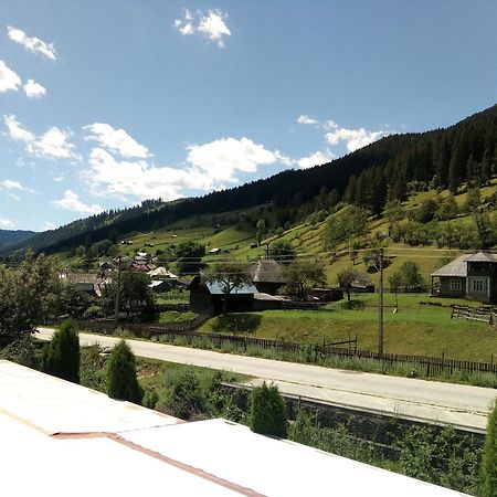 Pensiunea Serbeca Brosteni Buitenkant foto
