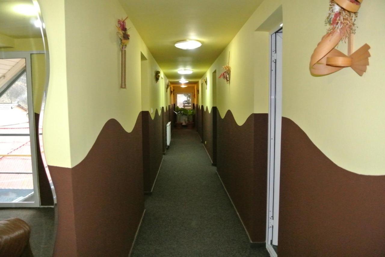 Pensiunea Serbeca Brosteni Buitenkant foto