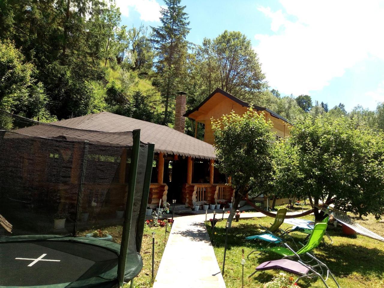 Pensiunea Serbeca Brosteni Buitenkant foto