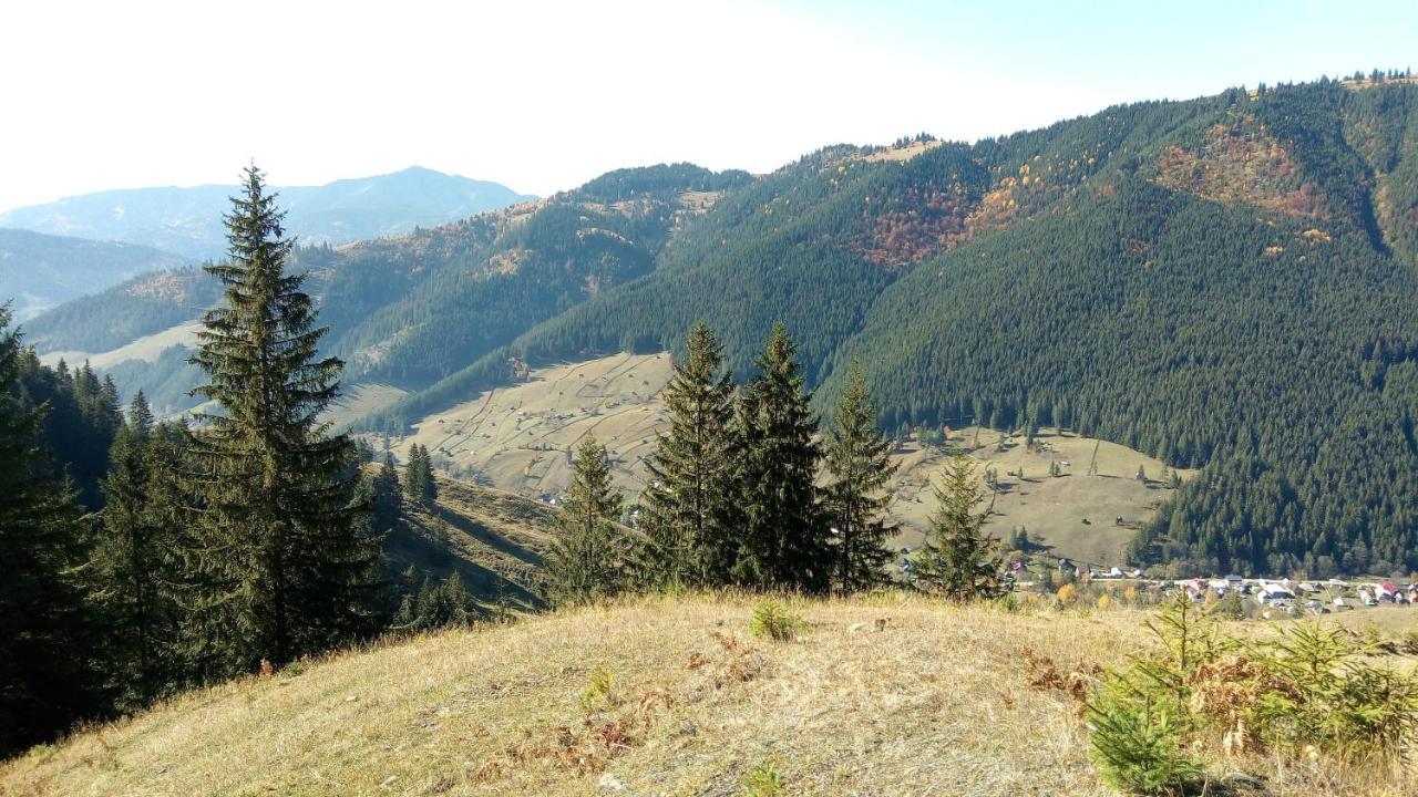 Pensiunea Serbeca Brosteni Buitenkant foto