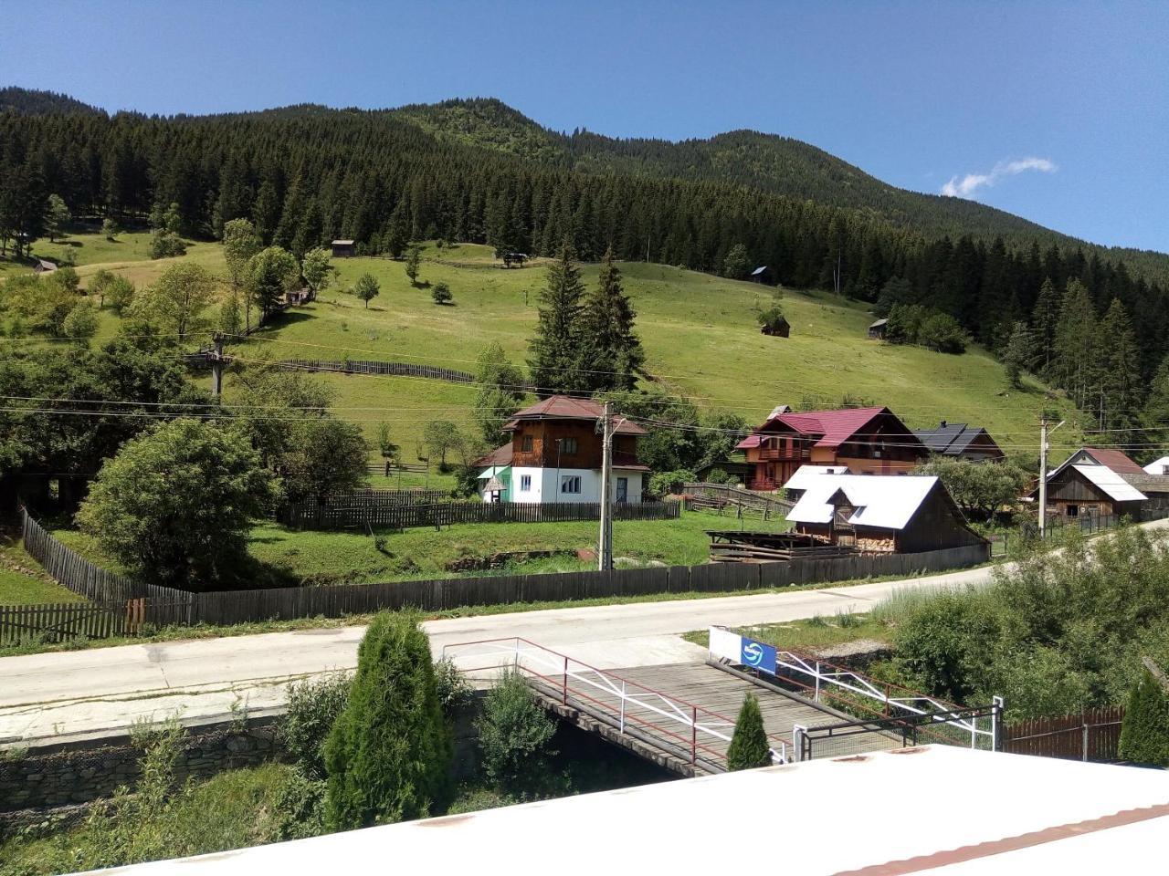 Pensiunea Serbeca Brosteni Buitenkant foto