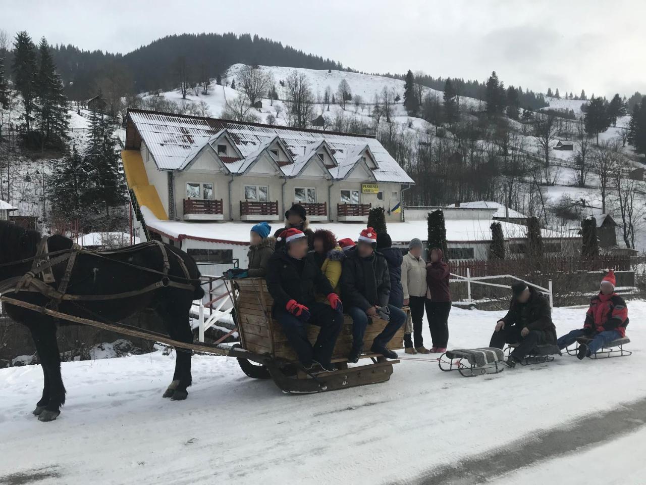 Pensiunea Serbeca Brosteni Buitenkant foto