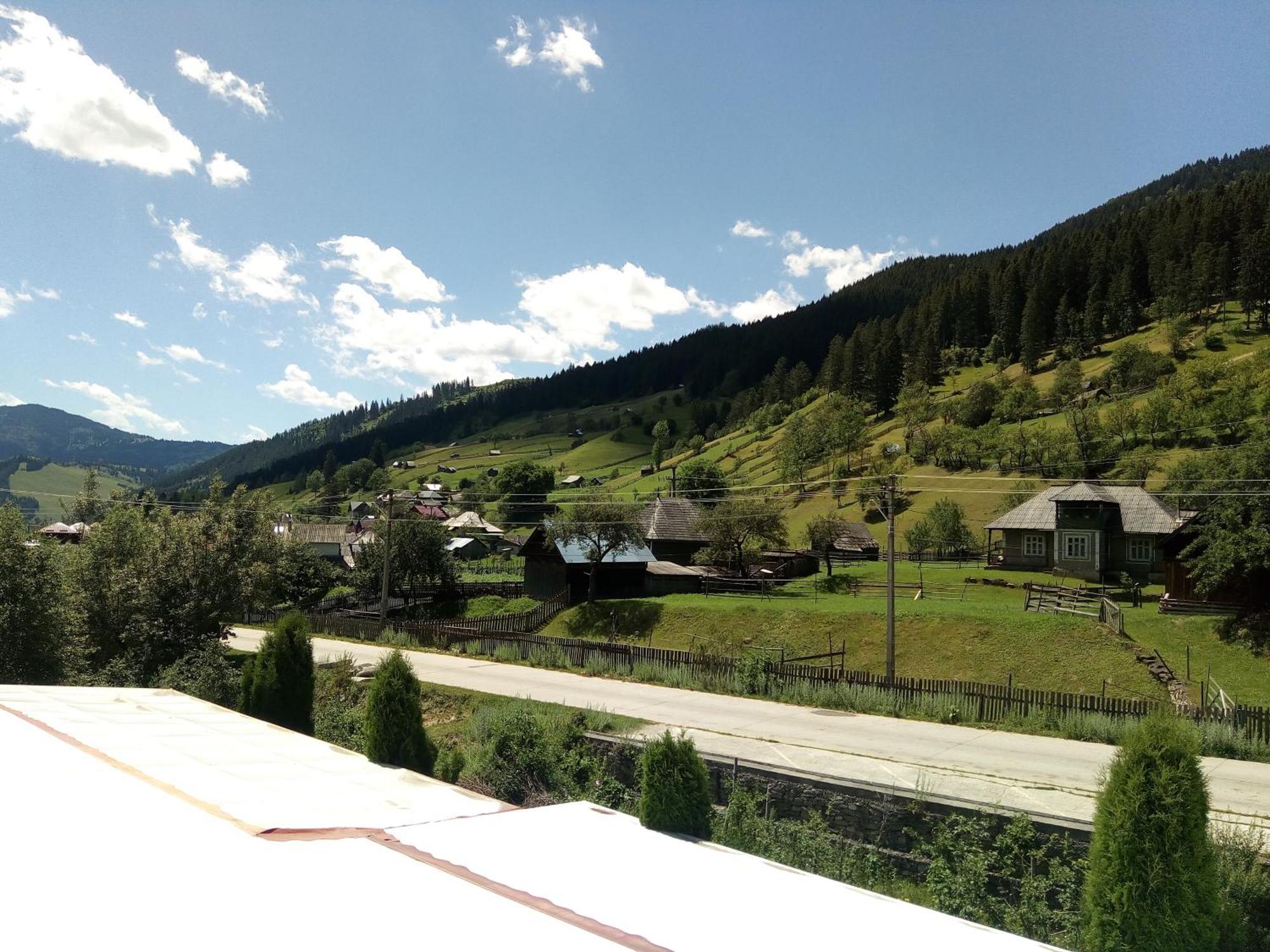 Pensiunea Serbeca Brosteni Buitenkant foto